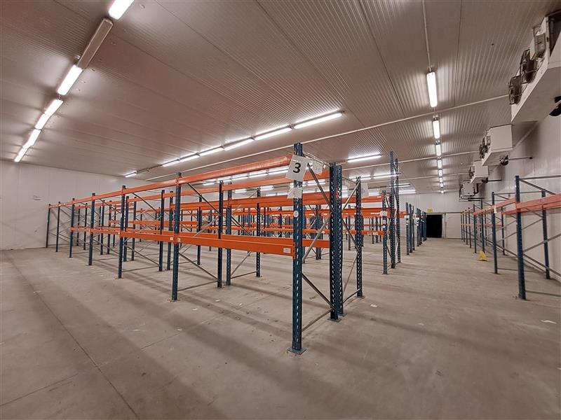 Magazyn na sprzedaż, 1572&nbsp;m², Smolec, Lipowa - zdjęcie 6