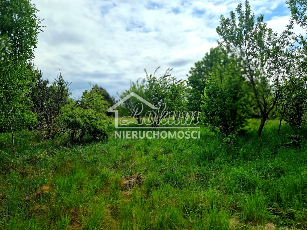 Działka inwestycyjna 3,37&nbsp;ha, Olchowo - zdjęcie 6