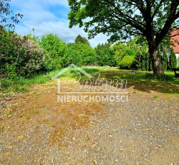 Działka inwestycyjna 3,37&nbsp;ha, Olchowo - zdjęcie 1