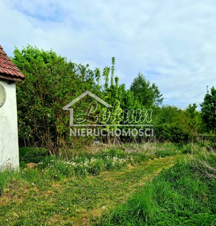 Działka inwestycyjna 3,37&nbsp;ha, Olchowo - zdjęcie 4