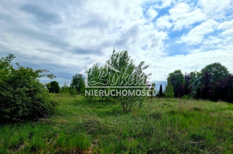 Działka inwestycyjna 3,37&nbsp;ha, Olchowo - zdjęcie 5