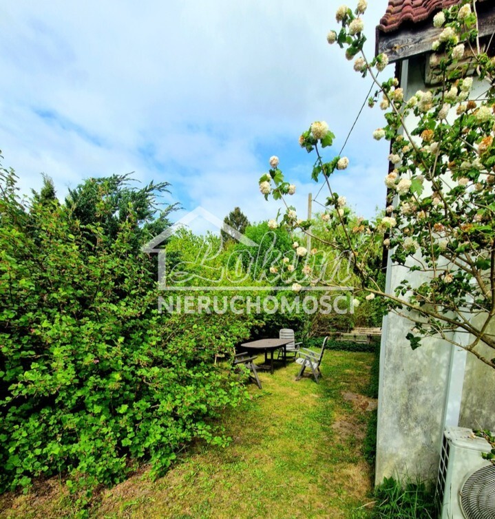 Działka inwestycyjna 3,37&nbsp;ha, Olchowo - zdjęcie 3