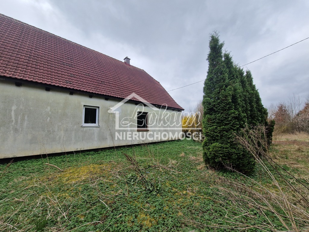 Działka inwestycyjna 3,37&nbsp;ha, Olchowo - zdjęcie 7