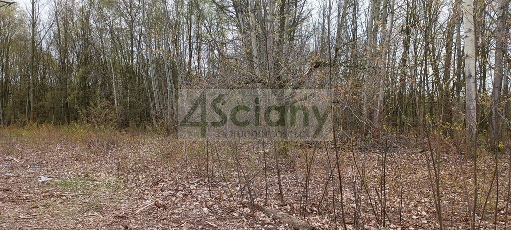 Działka budowlana 6307&nbsp;m², Milanówek - zdjęcie 1