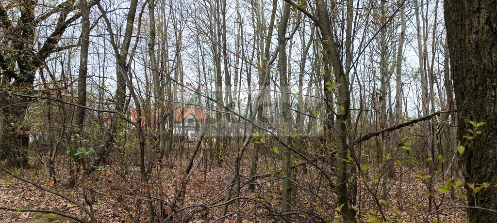 Działka budowlana 6307&nbsp;m², Milanówek - zdjęcie 3