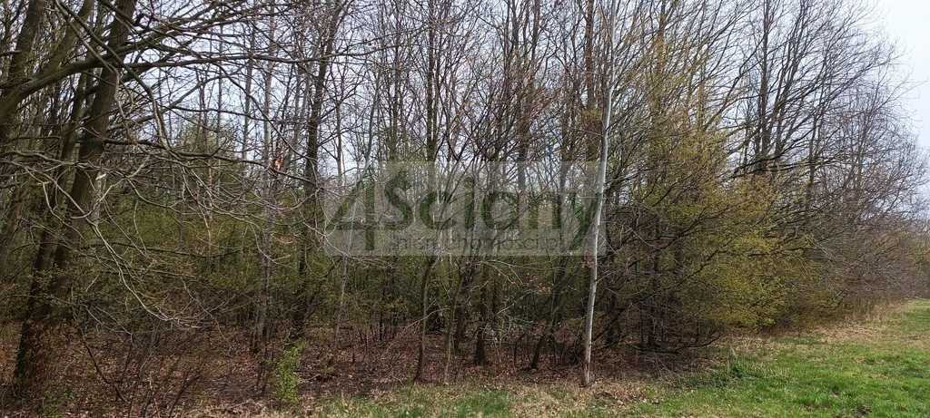 Działka budowlana 6307&nbsp;m², Milanówek - zdjęcie 2