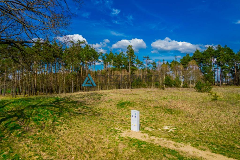 Działka Rolna z WZ Łąg Kolonia- 1173m2 - zdjęcie 4
