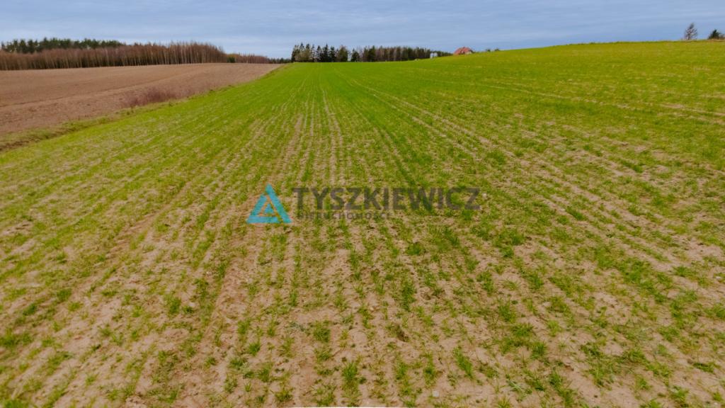 Sprzedaż Działek Siedliskowych w Gumieńcu - zdjęcie 7