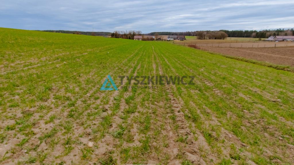 Sprzedaż Działek Siedliskowych w Gumieńcu - zdjęcie 15
