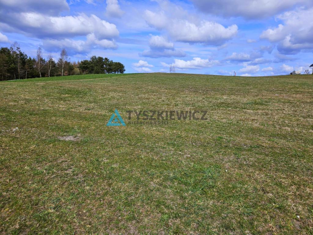 Urokliwa działka 40m od linii brzegowej jeziorka! - zdjęcie 7
