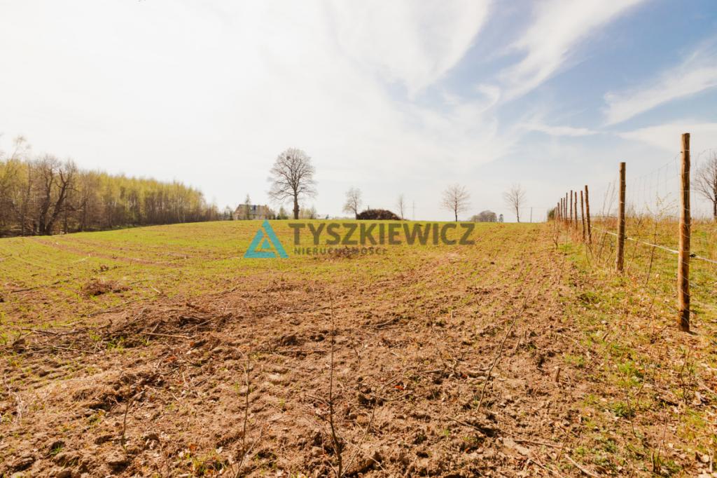 Duża działka niedaleko Krokowej. - zdjęcie 14