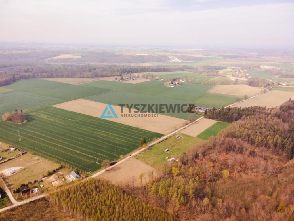 Duża działka niedaleko Krokowej. - zdjęcie 8