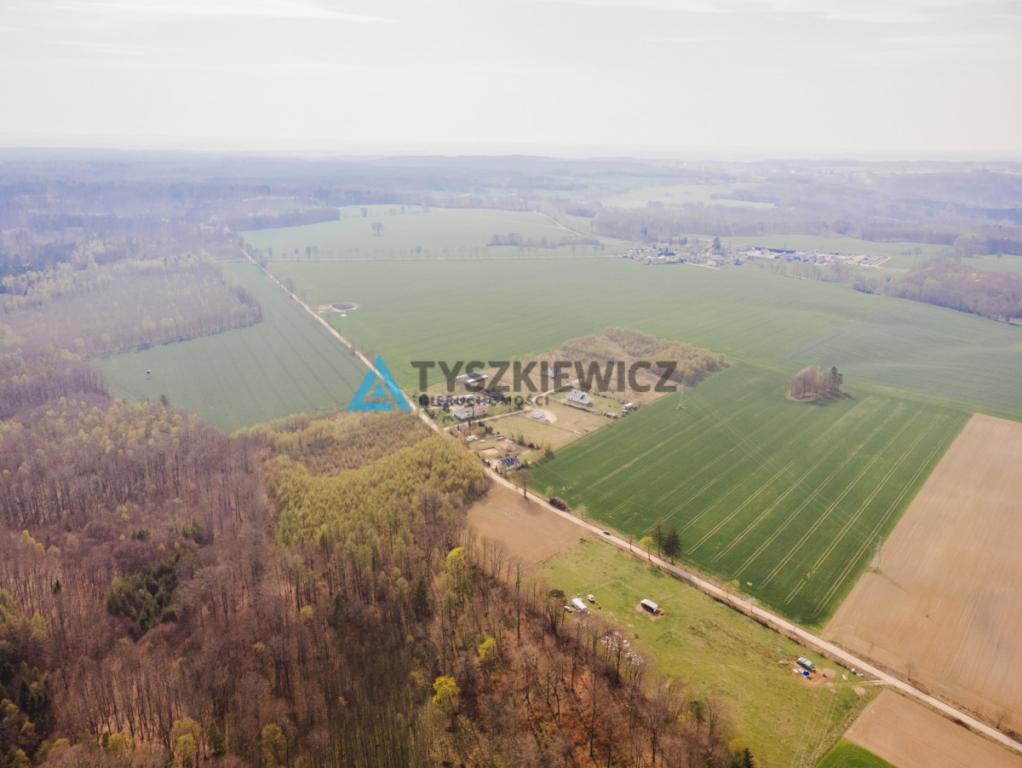 Duża działka niedaleko Krokowej. - zdjęcie 9