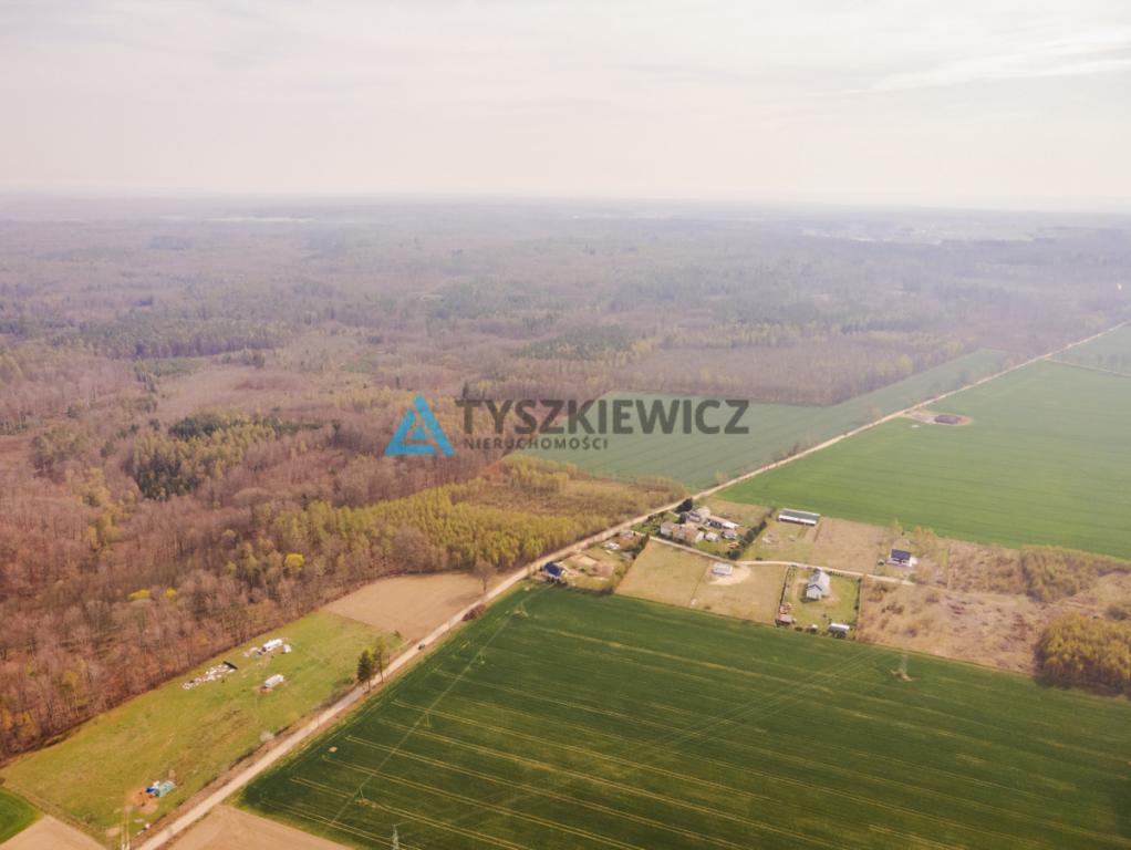 Duża działka niedaleko Krokowej. - zdjęcie 10