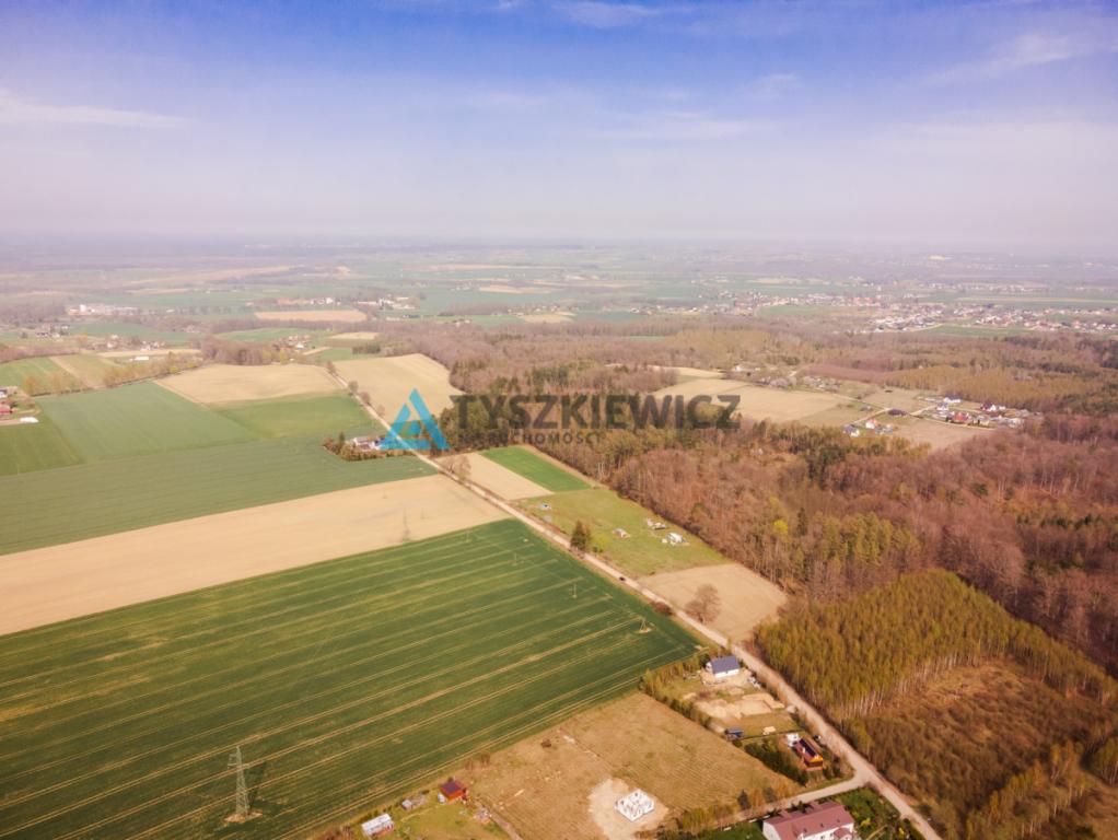 Duża działka niedaleko Krokowej. - zdjęcie 7