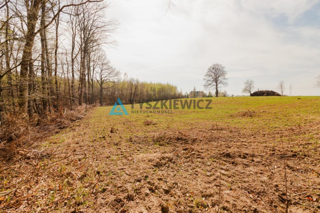 Duża działka niedaleko Krokowej. - zdjęcie 15