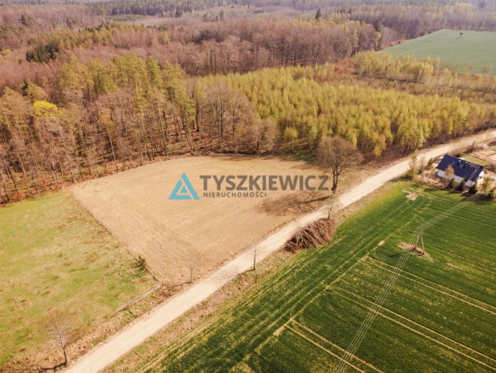 Duża działka niedaleko Krokowej. - zdjęcie 2