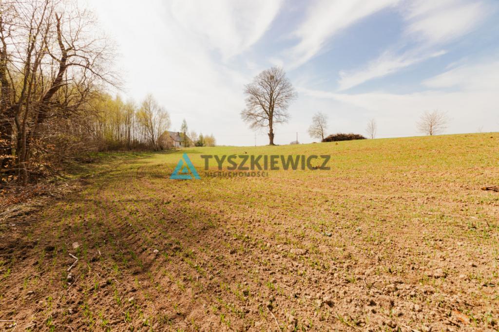 Duża działka niedaleko Krokowej. - zdjęcie 16
