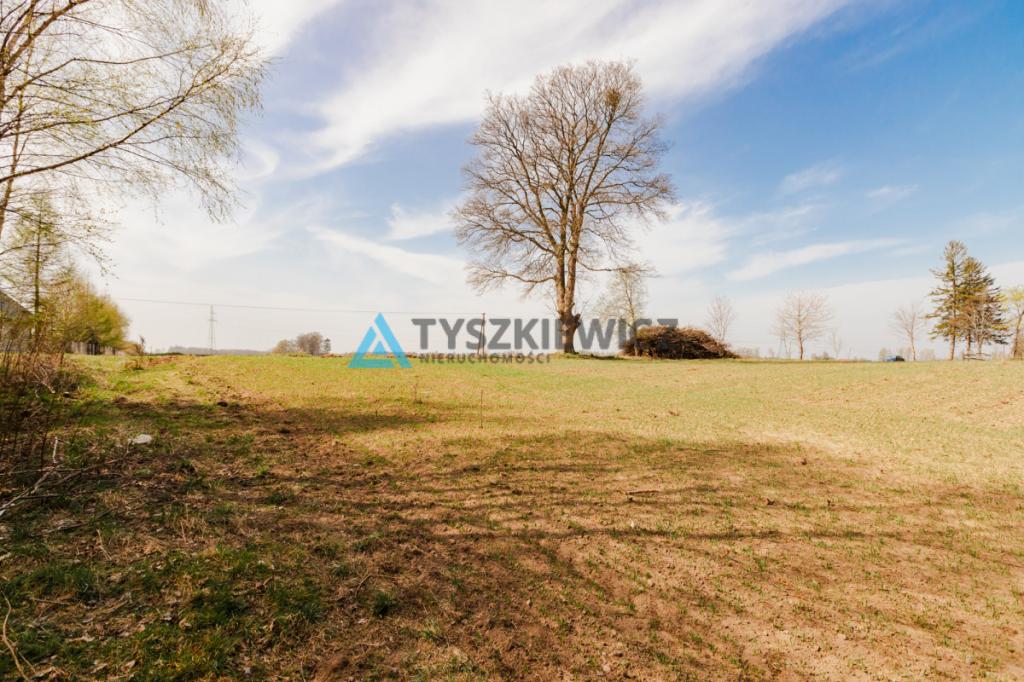 Duża działka niedaleko Krokowej. - zdjęcie 19