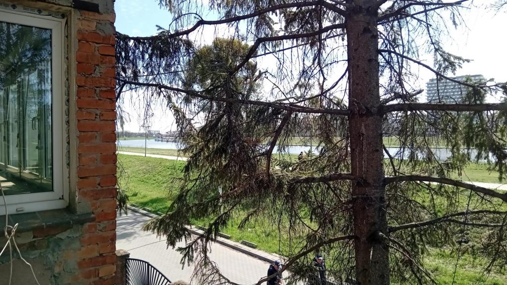 Dom 195&nbsp;m², Wrocław, Psie Pole, Zawalna - zdjęcie 7