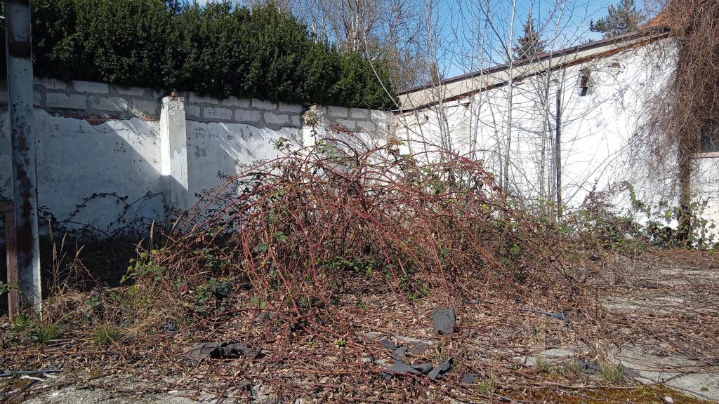 Dom 195&nbsp;m², Wrocław, Psie Pole, Zawalna - zdjęcie 8