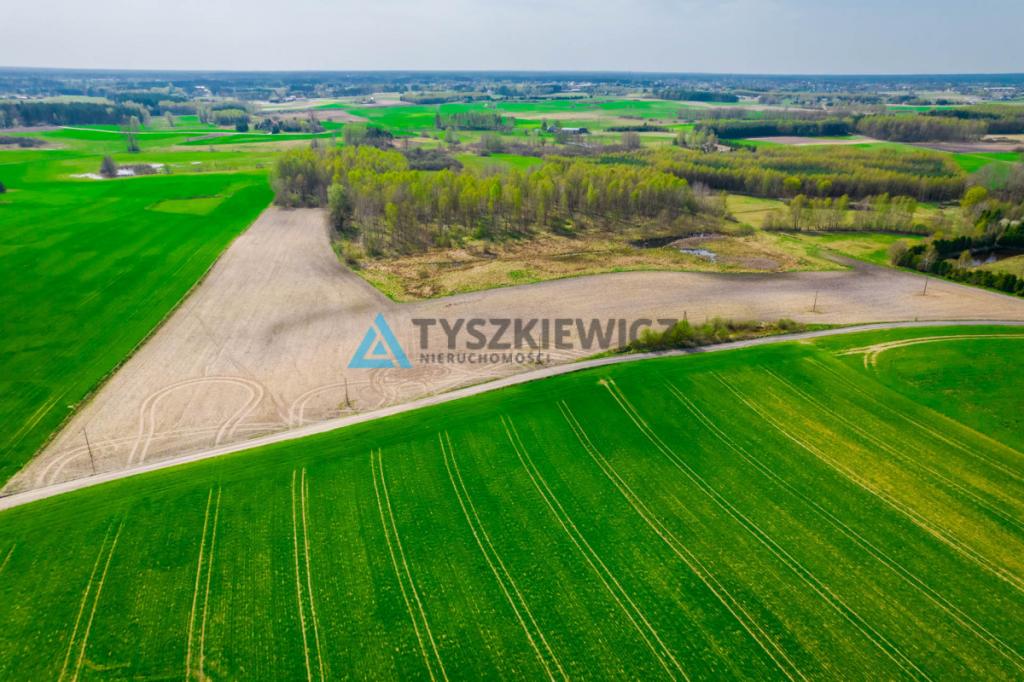 Duży areał ziem kaszubskiej, Budziska 28 ha - zdjęcie 10