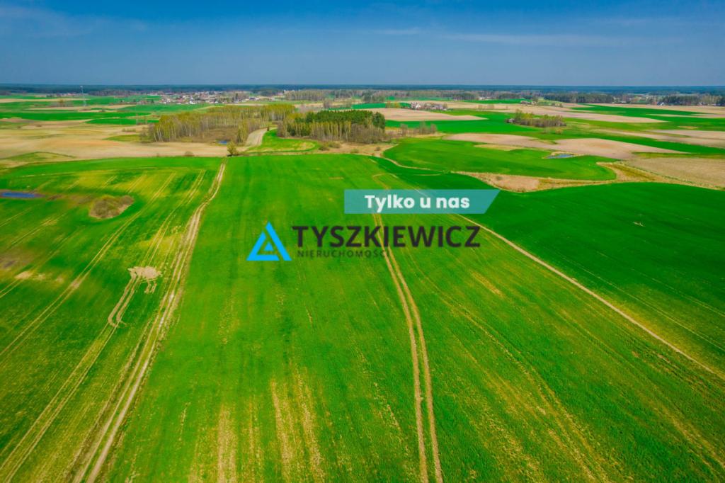 Duży areał ziem kaszubskiej, Budziska 28 ha - zdjęcie 1