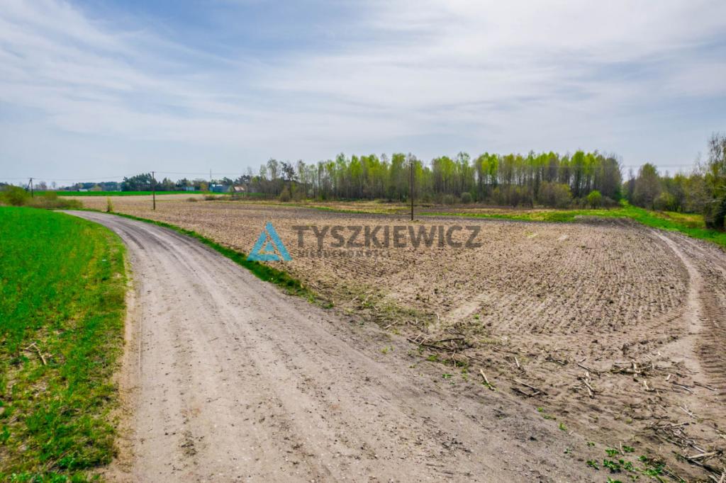 Duży areał ziem kaszubskiej, Budziska 28 ha - zdjęcie 20