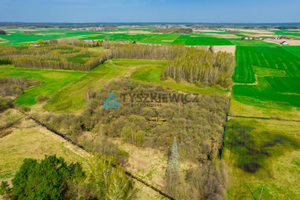 Duży areał ziem kaszubskiej, Budziska 28 ha - zdjęcie 14