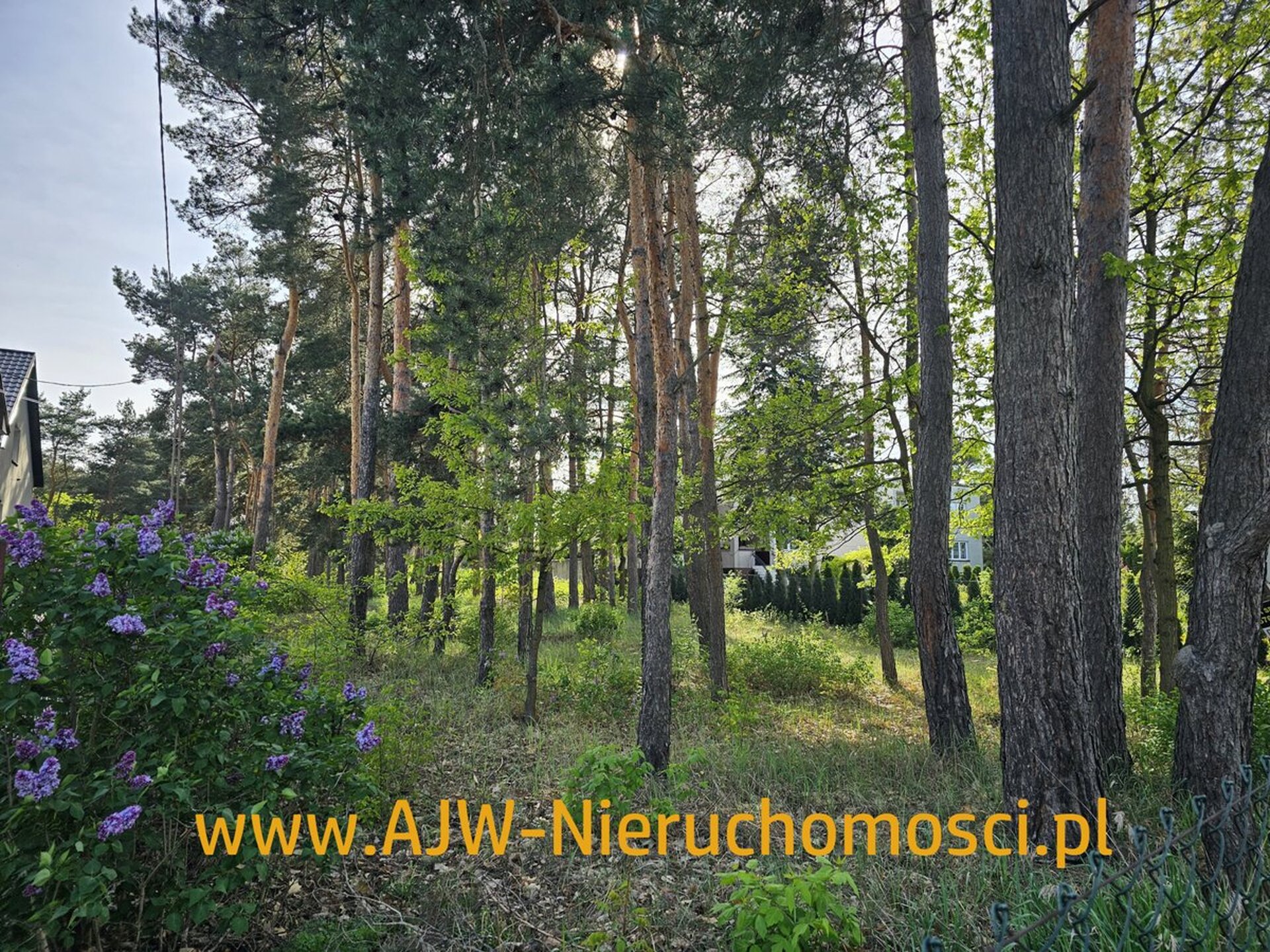 Laski, działka o powierzchni 1378 m2 - zdjęcie 5