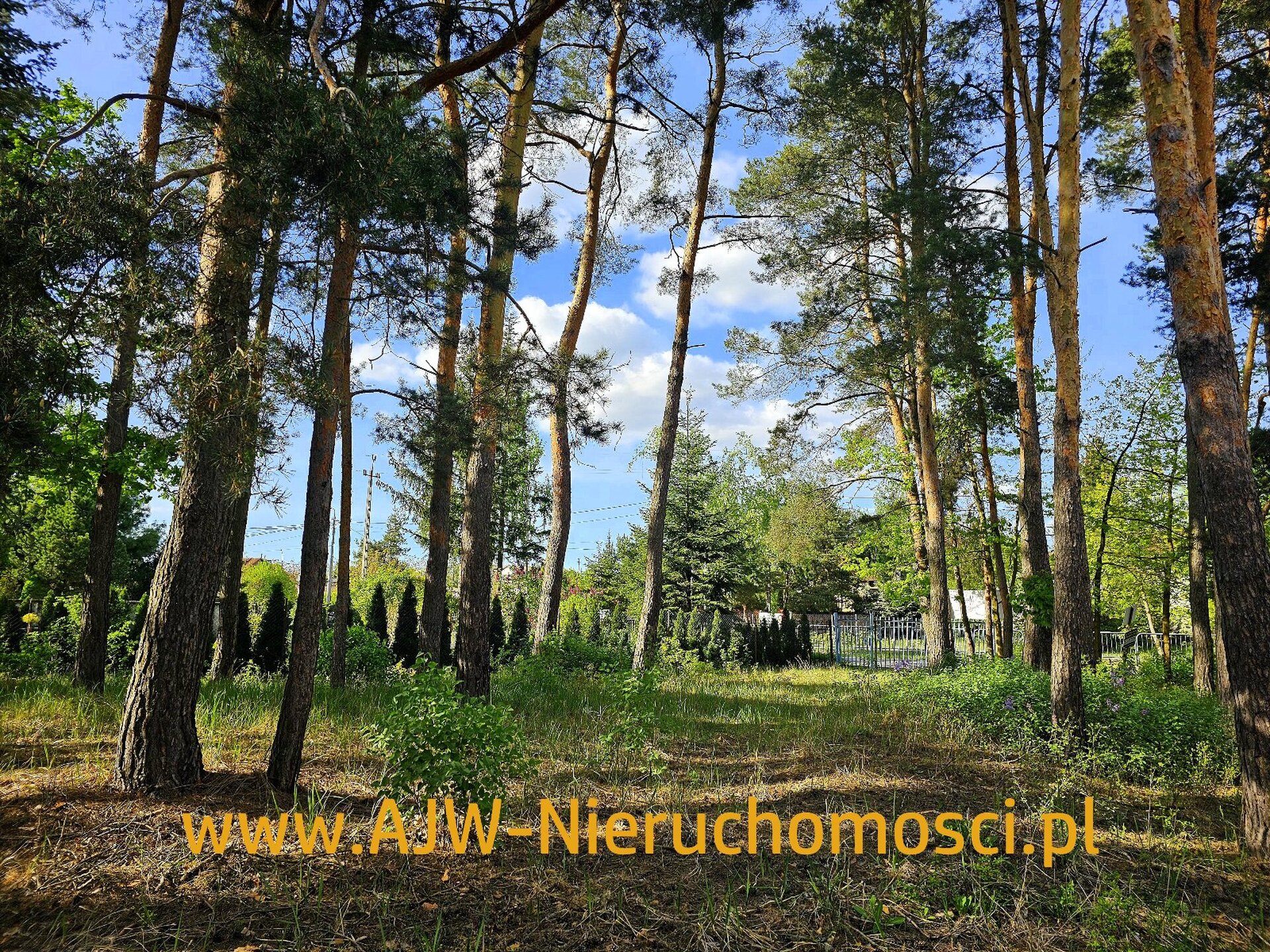 Laski, działka o powierzchni 1378 m2 - zdjęcie 2