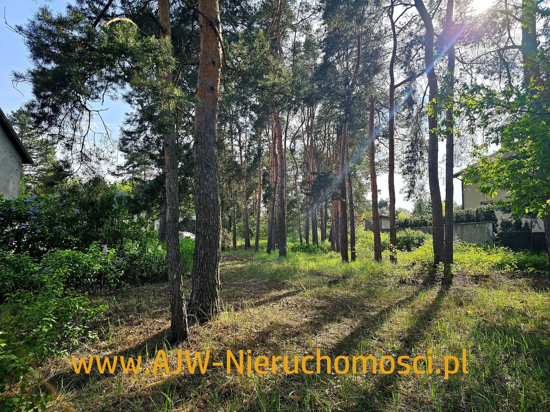 Laski, działka o powierzchni 1378 m2 - zdjęcie 4
