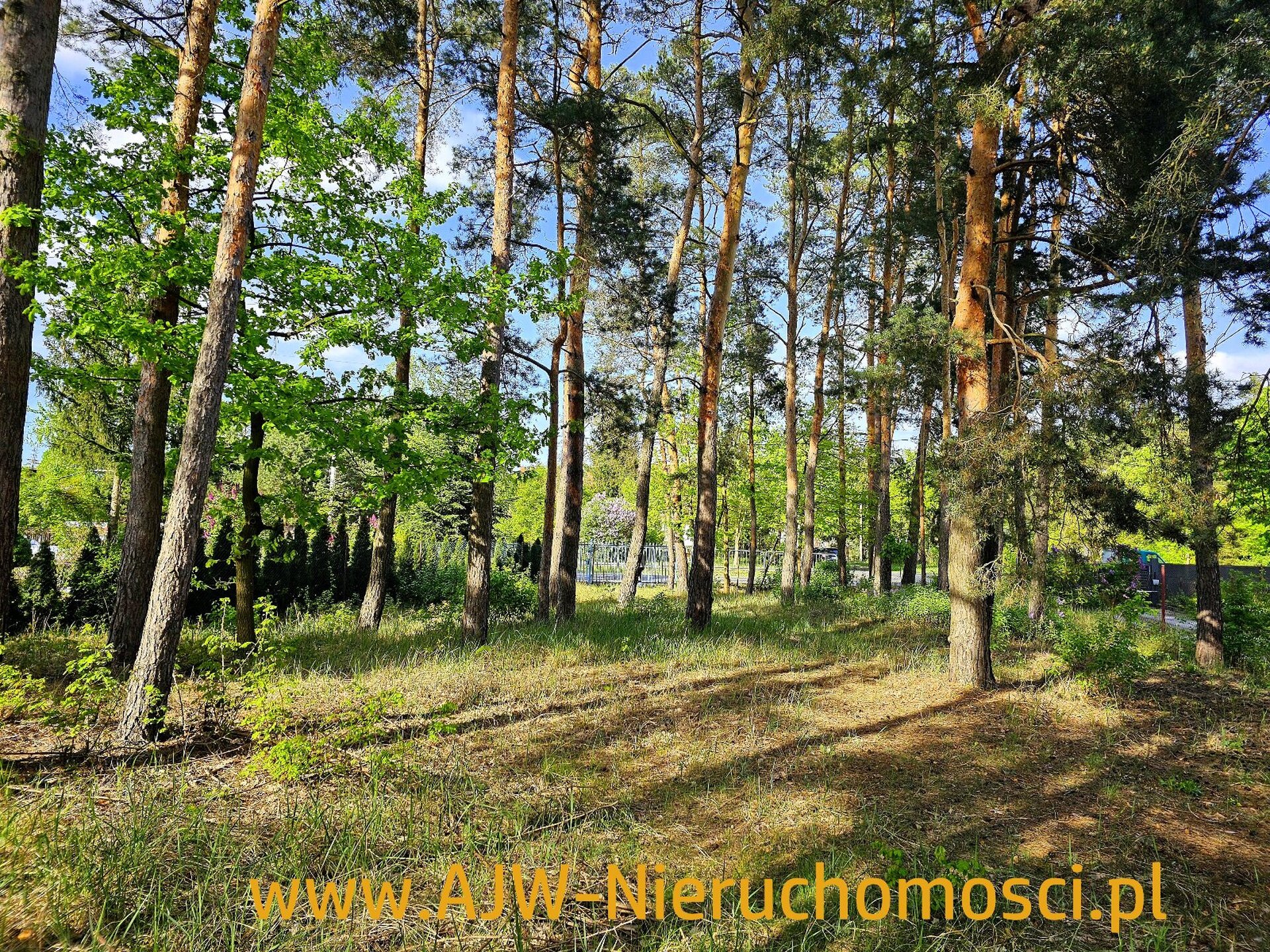 Laski, działka o powierzchni 1378 m2 - zdjęcie 3