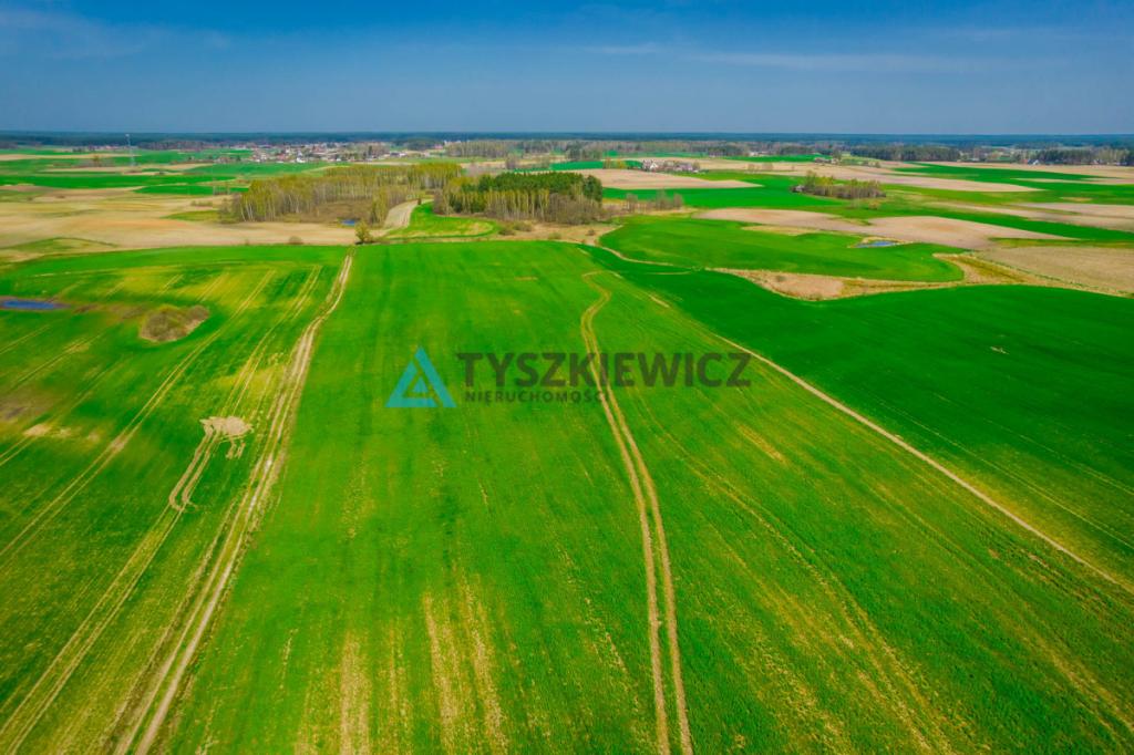 Duży areał ziemi kaszubskiej Budziska 11 ha - zdjęcie 5