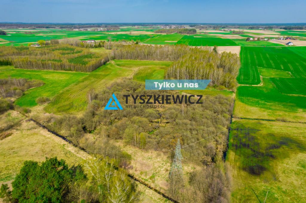 Duży areał ziemi kaszubskiej Budziska 11 ha - zdjęcie 1