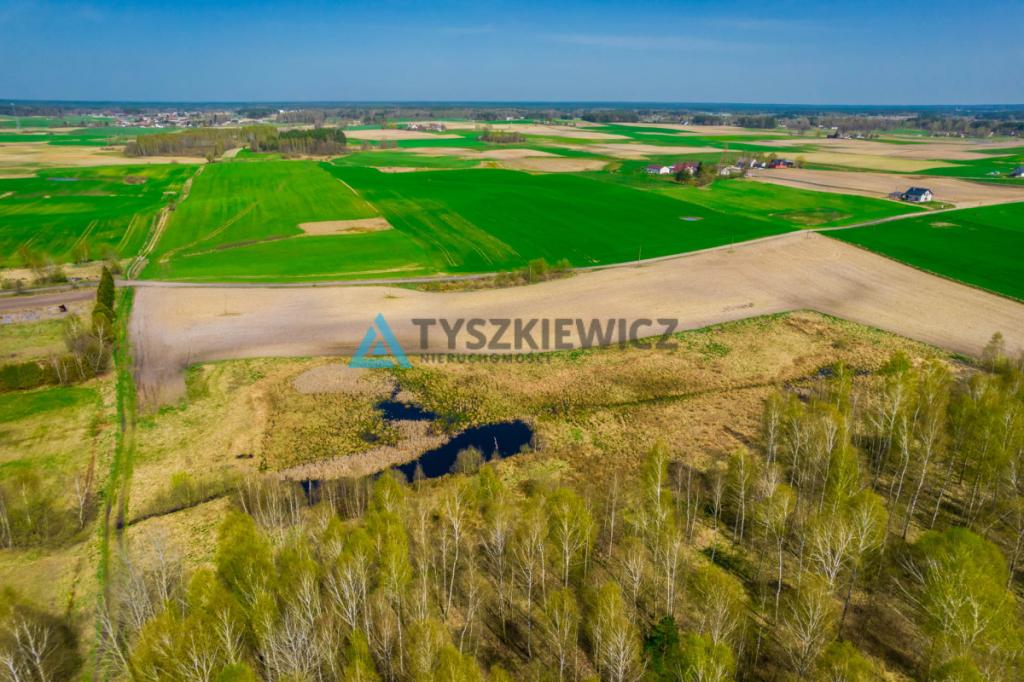 Duży areał ziemi kaszubskiej Budziska 11 ha - zdjęcie 17
