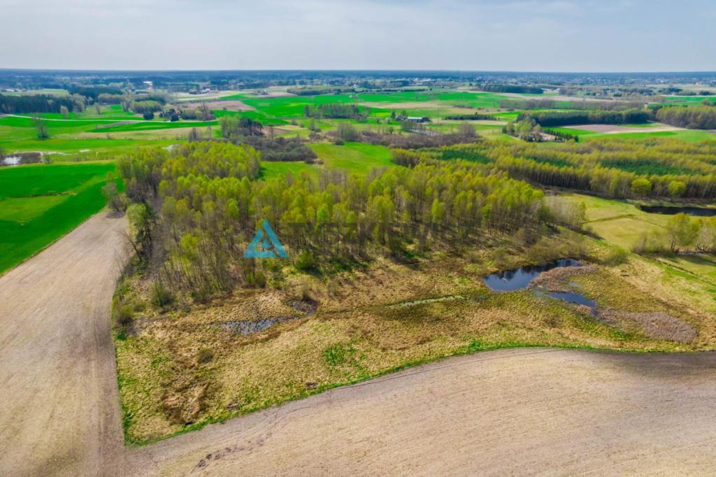 Duży areał ziemi kaszubskiej Budziska 11 ha - zdjęcie 7