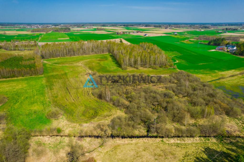 Duży areał ziemi kaszubskiej Budziska 11 ha - zdjęcie 15