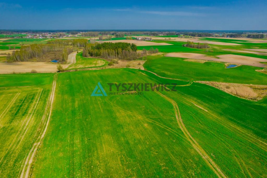 Duży areał ziemi kaszubskiej Budziska 11 ha - zdjęcie 6