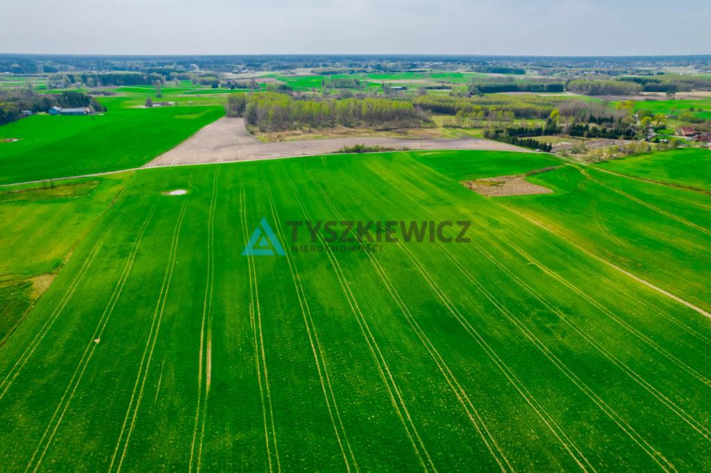 Duży areał ziemi kaszubskiej Budziska 11 ha - zdjęcie 12