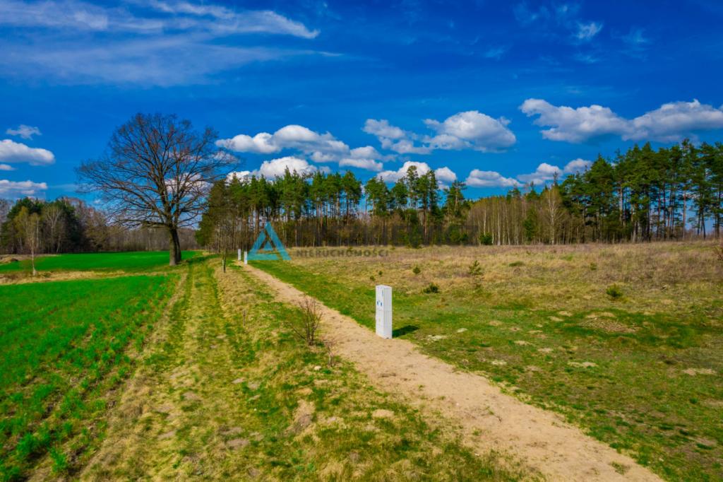 Działka budowlana Łąg Kolonia- 1296m2 - zdjęcie 12