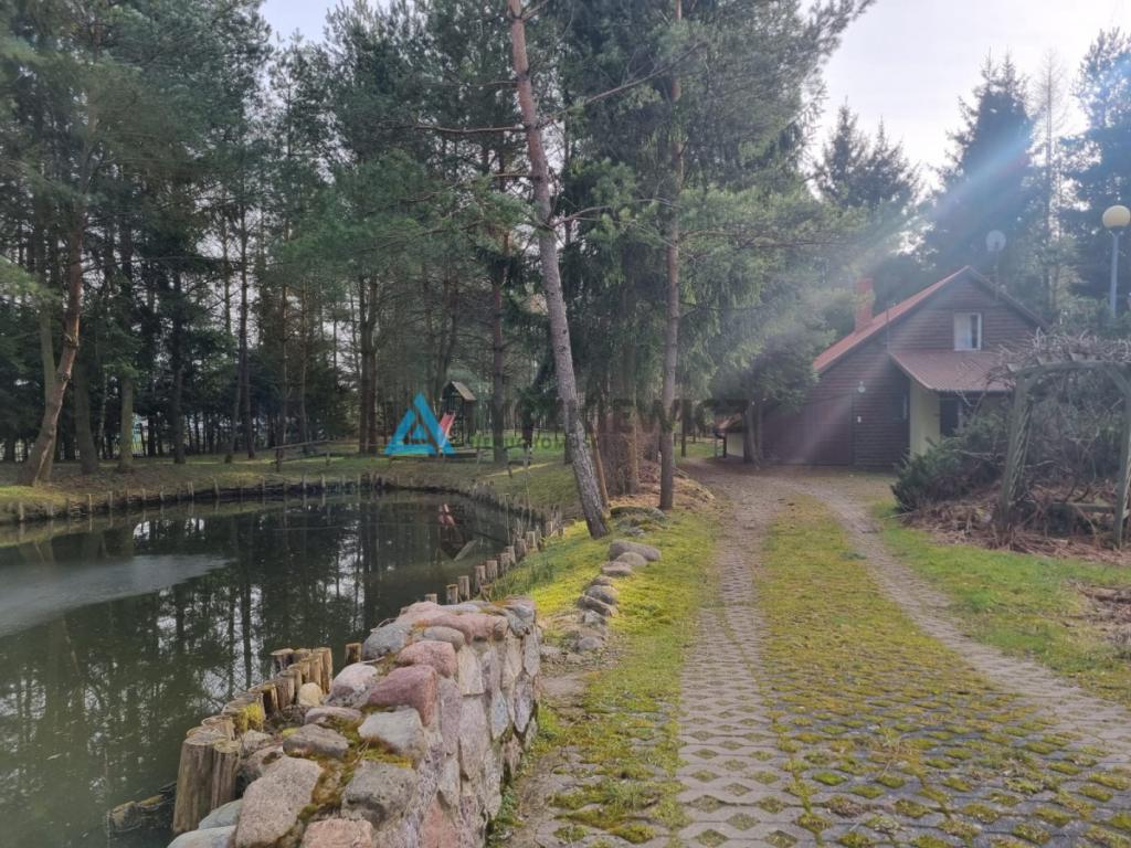Działka z domkami letniskowymi - gotowy biznes - zdjęcie 17