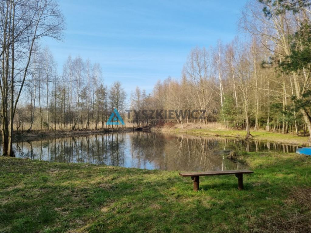 Działka z domkami letniskowymi - gotowy biznes - zdjęcie 19