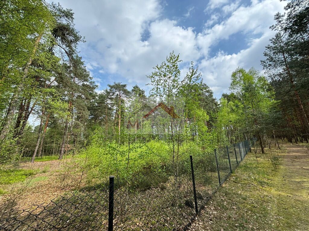 Działka budowlana 4958&nbsp;m², Wiązowna, Jagodowa - zdjęcie 3