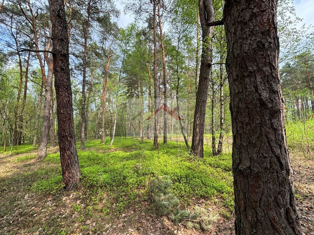Działka budowlana 4958&nbsp;m², Wiązowna, Jagodowa - zdjęcie 8