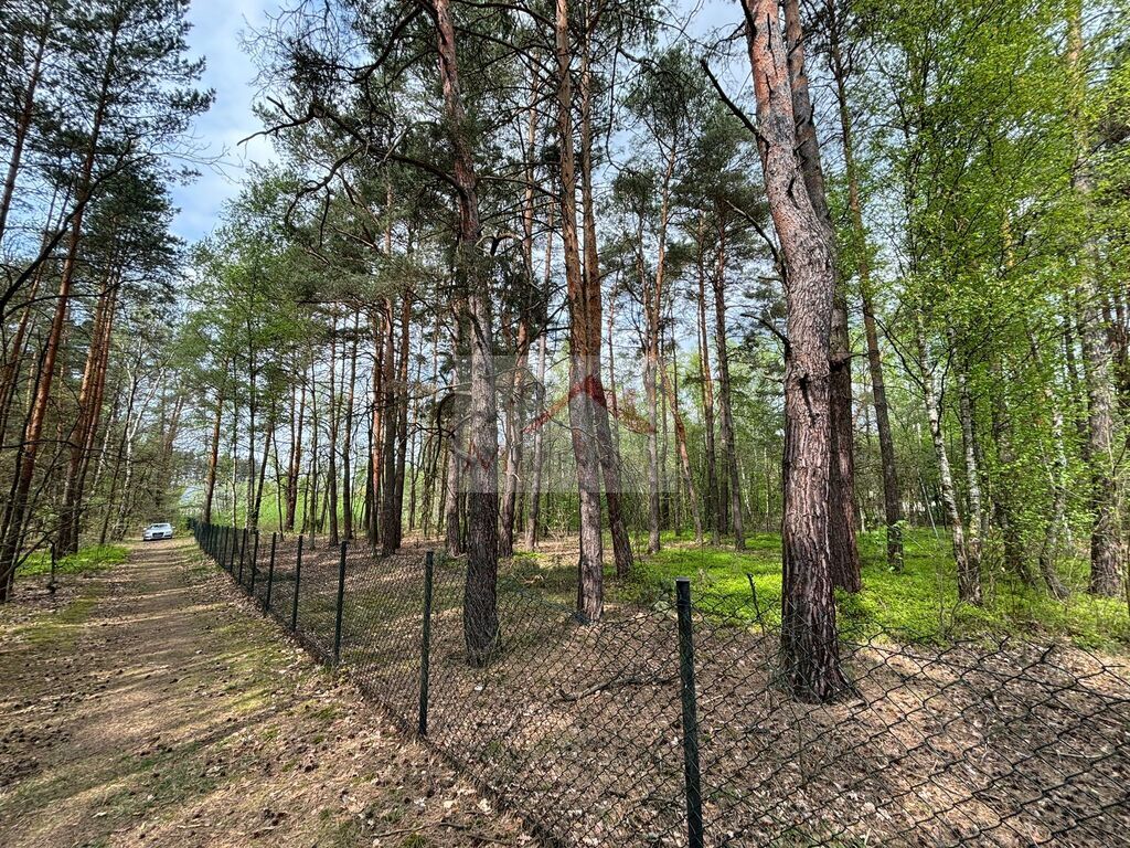 Działka budowlana 4958&nbsp;m², Wiązowna, Jagodowa - zdjęcie 2