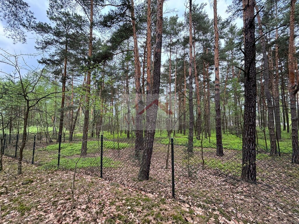 Działka budowlana 4958&nbsp;m², Wiązowna, Jagodowa - zdjęcie 10