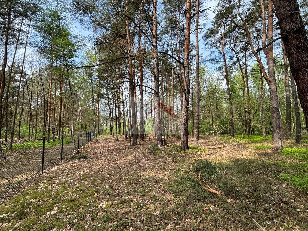 Działka budowlana 4958&nbsp;m², Wiązowna, Jagodowa - zdjęcie 7