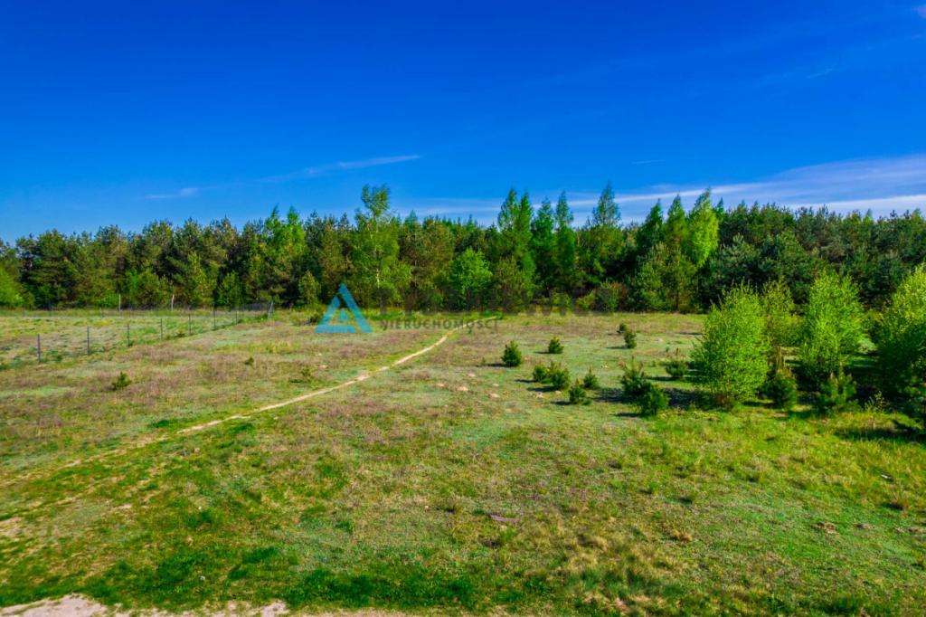 3000M2 w cichej okolicy, Nowa Cerkiew - zdjęcie 8