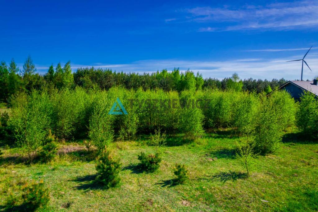 3000M2 w cichej okolicy, Nowa Cerkiew - zdjęcie 9